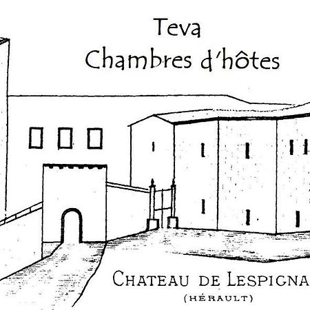 Bed and Breakfast Teva Lespignan Esterno foto