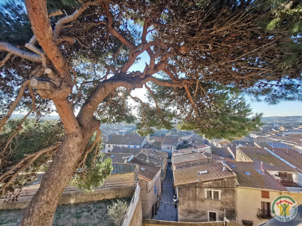 Bed and Breakfast Teva Lespignan Esterno foto